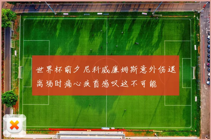 世界杯前夕尼科威廉姆斯意外伤退离场时痛心疾首感叹这不可能